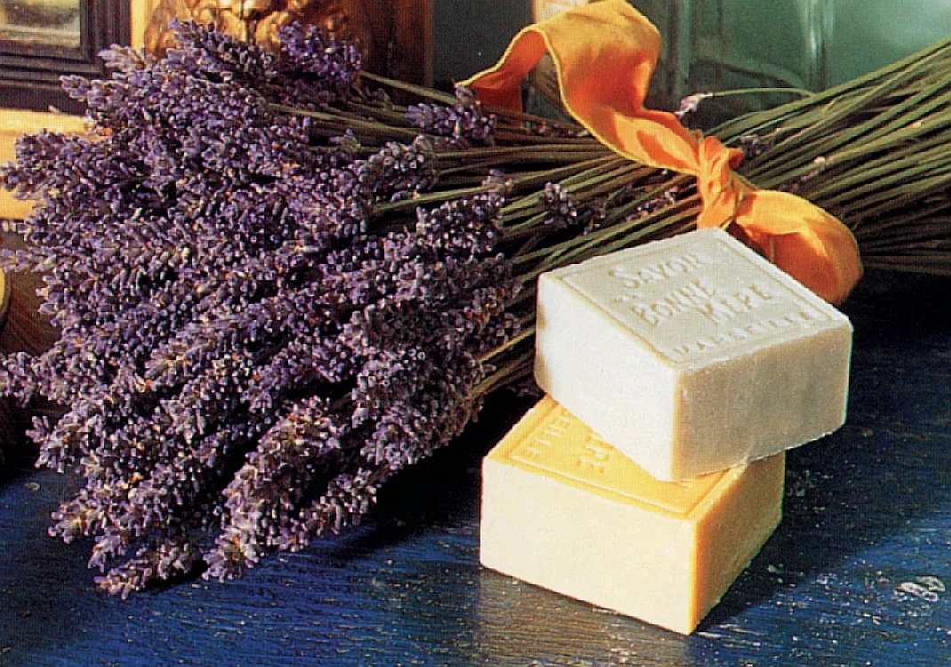 LAVENDER